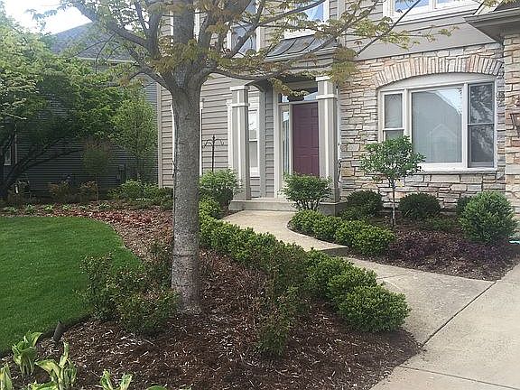 5th image of 445 Saratoga Dr