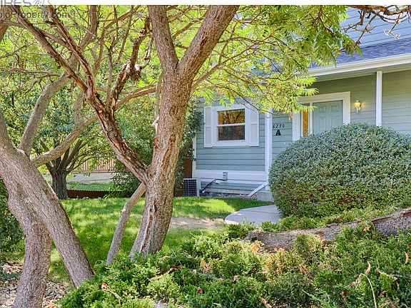 Lawn, trees right out front
