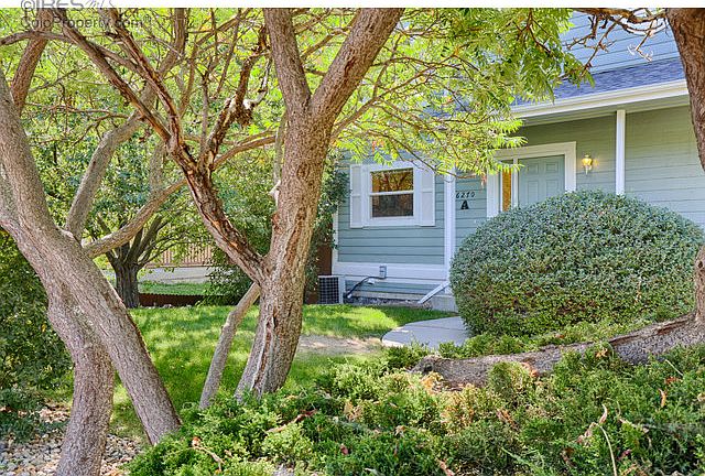 Lawn, trees right out front
