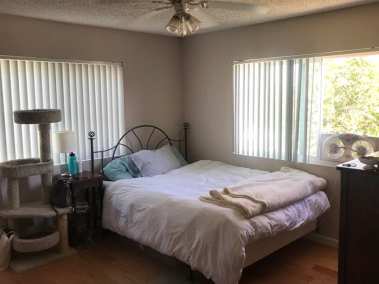 7405 Charmant Dr — Photo 6