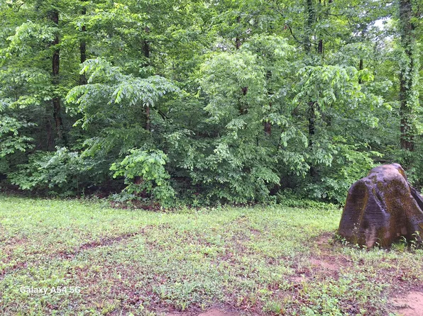 0 Cloyds Creek Rd Lot 2, Greenback, TN 37742