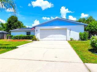 3932 Casaba Loop, Valrico, FL 33596