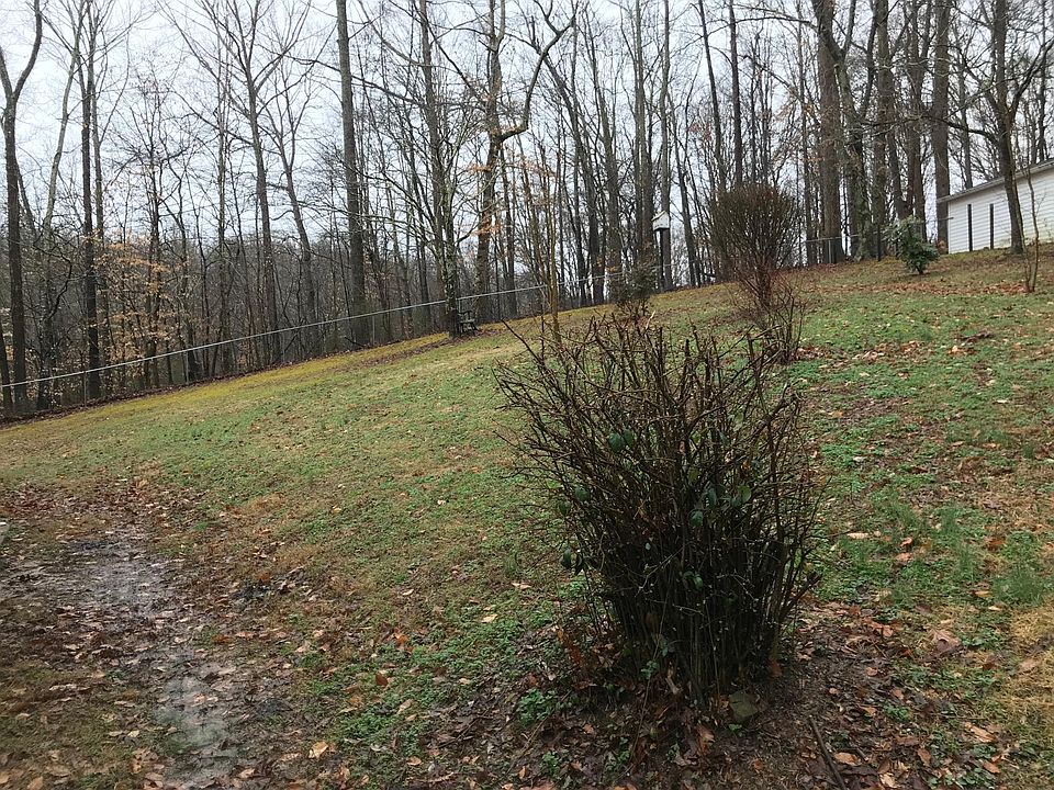 Big fenced in back yard for animal to run