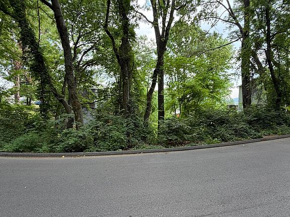 3rd image of 0 Pine Ridge Rd