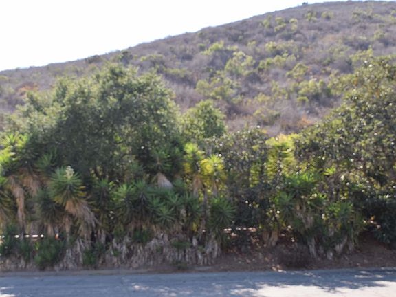 view across street 