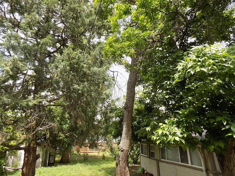 432 E Kiowa St — Photo 65