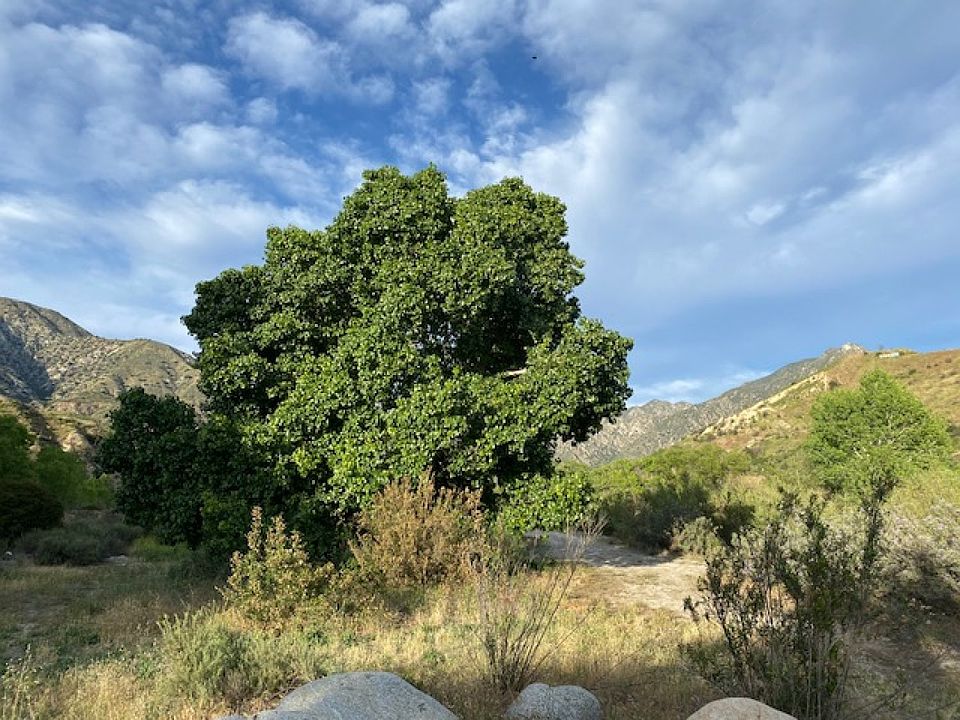 2nd image of 11521 Oro Vista Ave