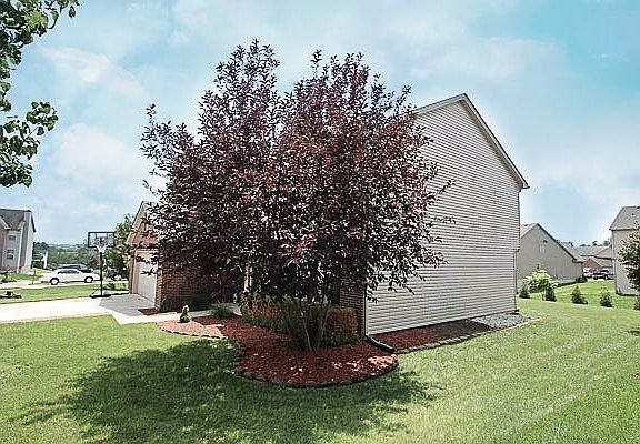 5th image of 332 Wisteria Ct