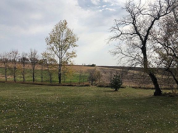 View of back yard in fall 