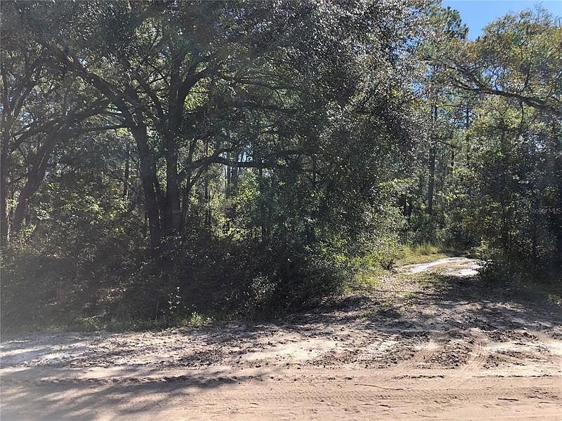 10020 Gregory Ave, Hastings, FL 32145 MLS FC286545 Zillow