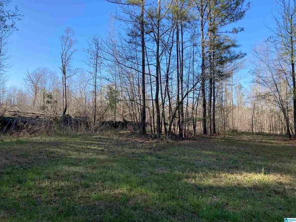 0 Jackson Trace Rd #4.1, Talladega, AL 35160