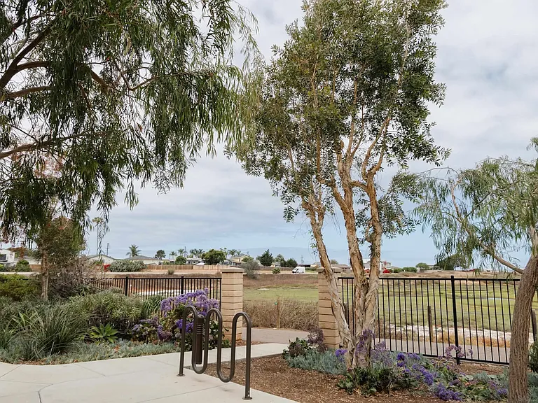 505 Lark Way — Photo 38