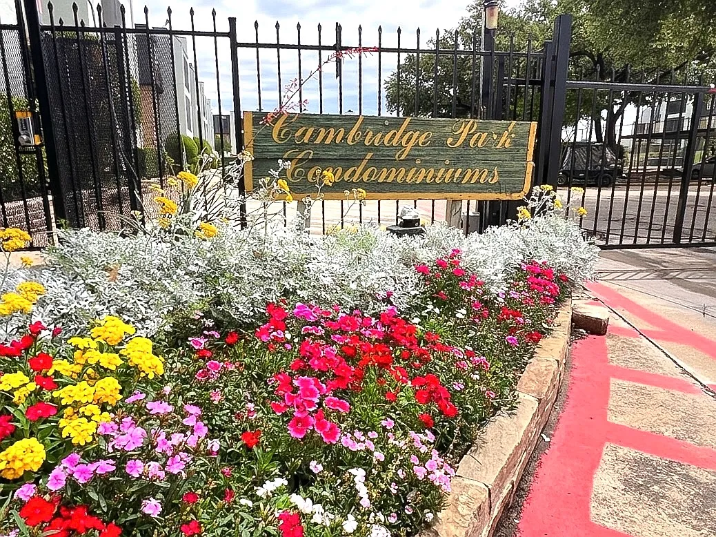 2 bed, 985 sqft, $1,200 — Photo 2