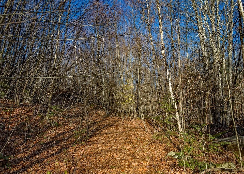 1st image of 0 Goose Pond Rd