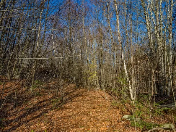 0 Goose Pond Rd, Tyringham, MA 01264