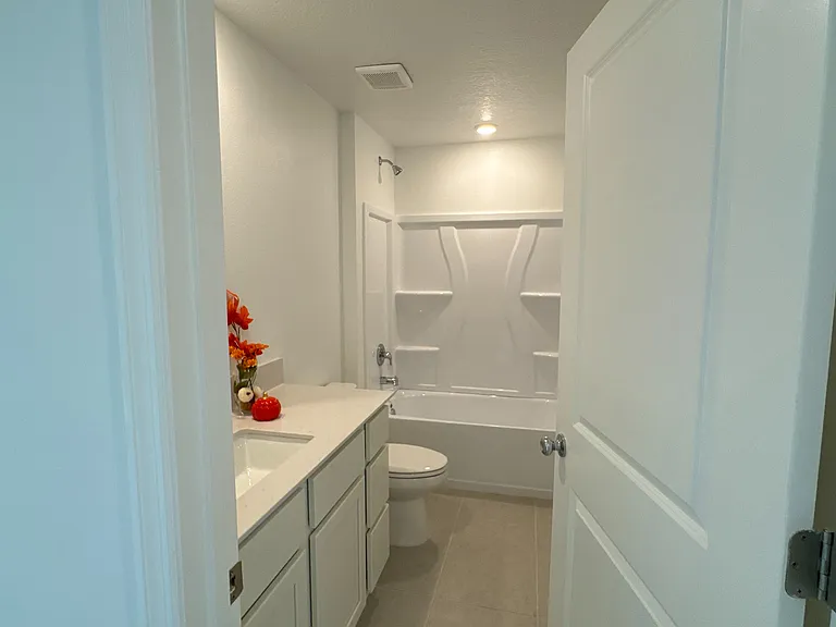 Feathergrass Cir — Photo 11