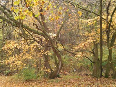 4091 New 96 Hwy W #96, Franklin, TN, 37069