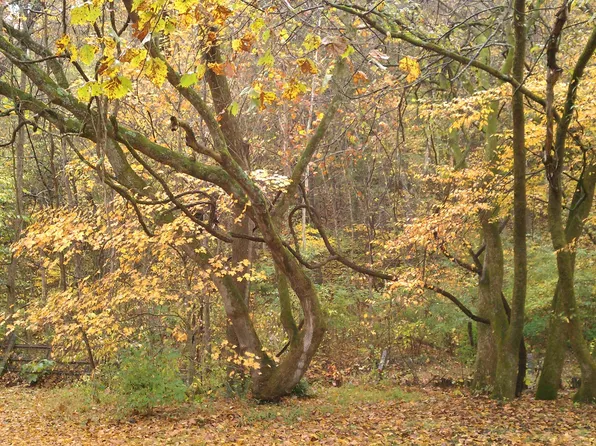 4091 New 96 Hwy W #96, Franklin, TN 37069