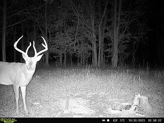 5th image of 239 Arnold Ln