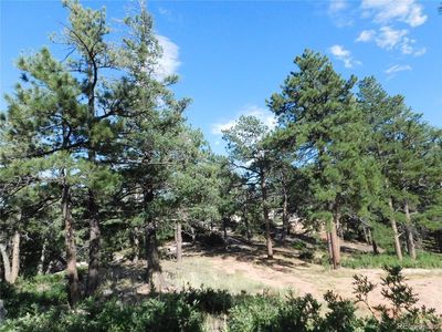 5965 Ottawa Court, Larkspur, CO, 80118