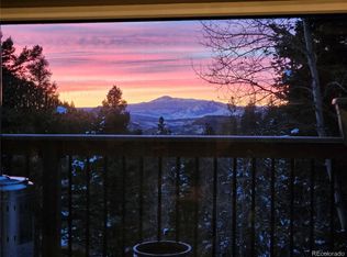 13328 Elsie Rd, Conifer, CO 80433