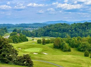 214 Chestnut Ridge Ln, Jonesborough, TN 37659