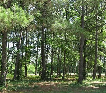 1st image of Kings Trail Road LOT 43