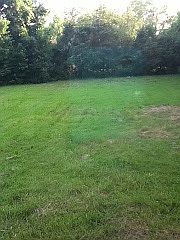 5th image of 317 Splane Dr
