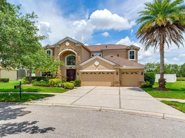 20653 Longleaf Pine Ave, Tampa, FL 33647