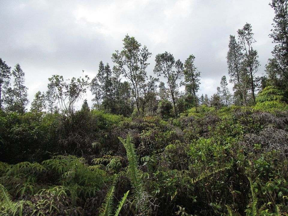 2nd image of Uhini Ana Rd #1-lot 2390