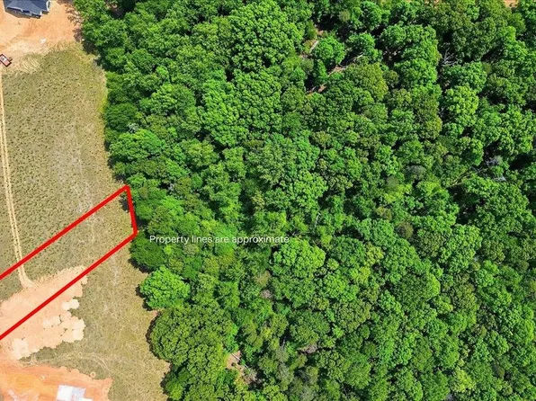 LOT 5 Parris Farm Rd, Chesnee, SC 29323