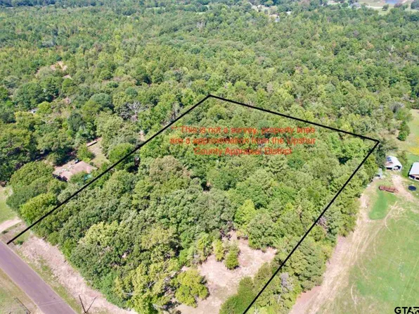 2496 Silk Tree Rd, Gilmer, TX 75645