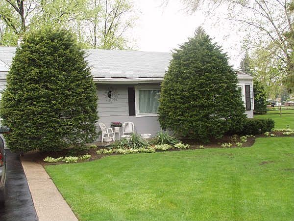 front lawn center