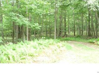 Dartmouth Dr, Rock hill, NY 12775