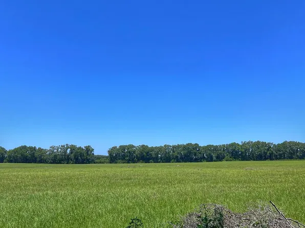 00 SW County Road 313, Trenton, FL 32693