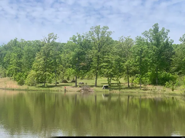 29 / Acres, Bonne Terre, MO 63628
