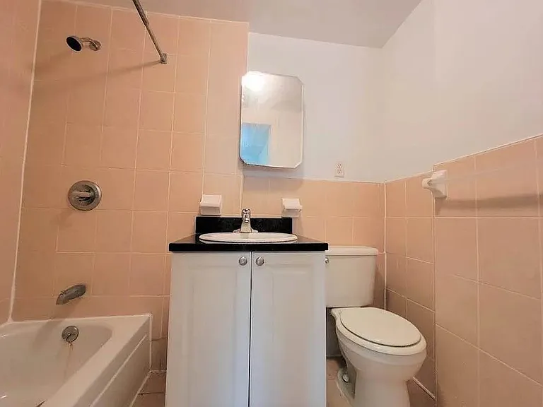 449 W 46th St #82 — Photo 6