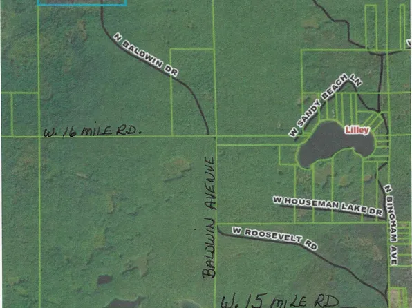 13460 N Baldwin Dr, Bitely, MI 49309