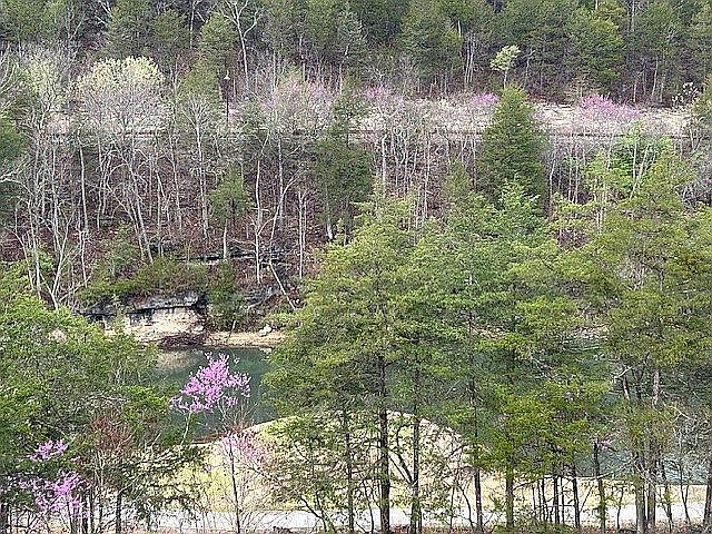 View from main floor living