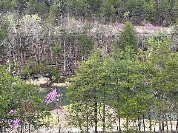 103 Silver Oak Way, Reeds Spring, MO 65737