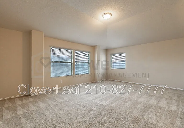 3734 Ox Eye Daisy — Photo 23