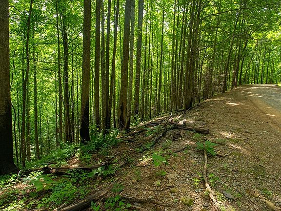 5th image of 13 Sugar Maple Loop Lot 13A