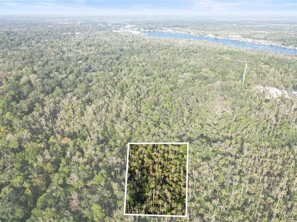 10224 W Virginia St, Homosassa, FL 34448