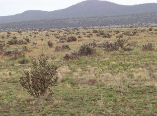 N Panhandle Trail Lot 1156 #1156, Seligman, AZ 86337