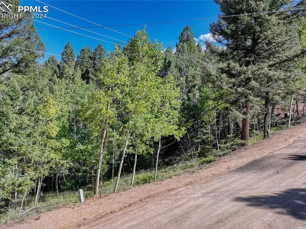 282 Pinon Lake Dr, Divide, CO 80814