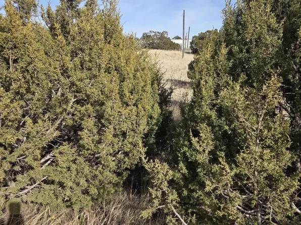 10 Glacier Trl N, Edgewood, NM 87015
