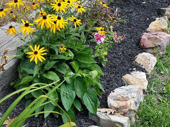 Bed along driveway