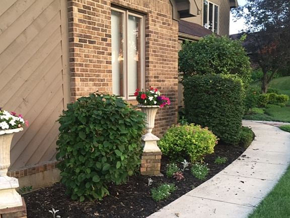 5th image of 1505 Cambron Ct