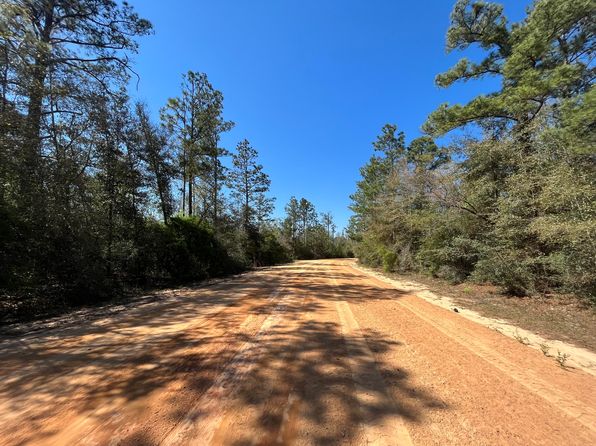 Tbd Rossville Avenue, Alford, FL 32420