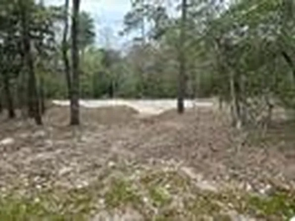 7389 Teaswood Dr, Conroe, TX 77304